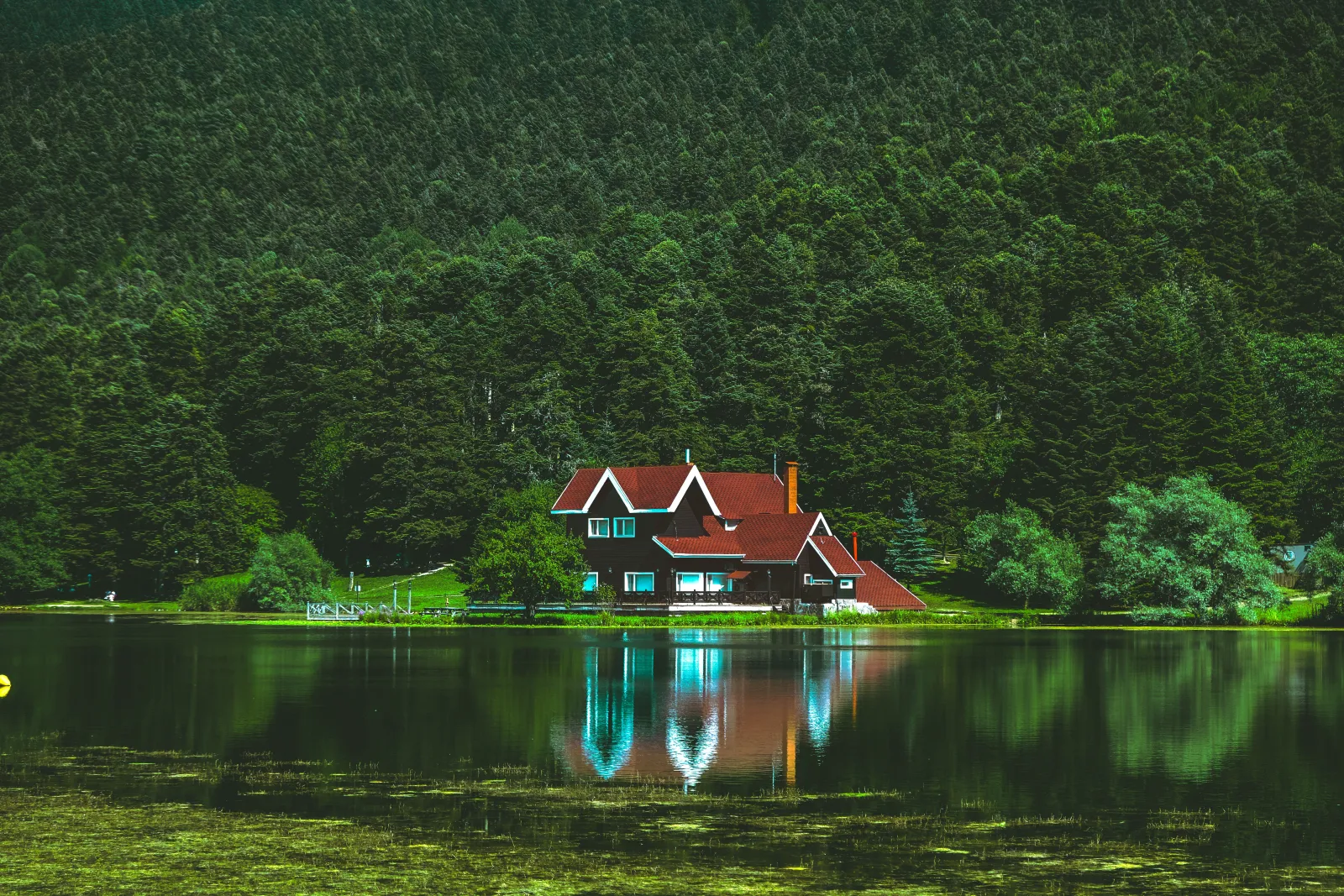 A red-roofed lakeside vacation house set against a wall of pine forest, reflected in the still lake